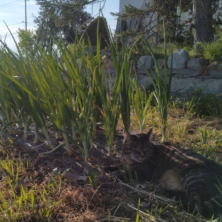 A7014832 9d3a 40aa 9b0a b49f2a482954 1715421202323