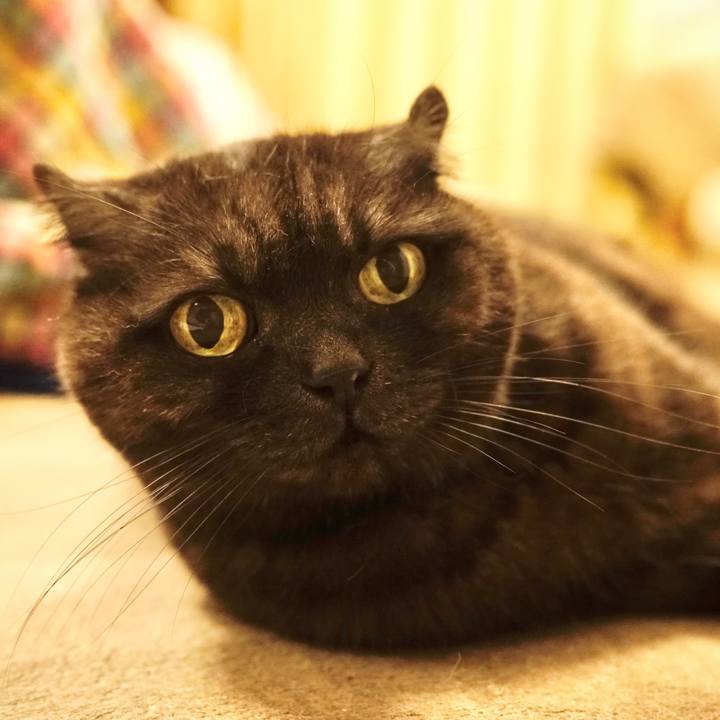 A7017ea1 f222 4920 a523 f846140ce2cc 1612195204672