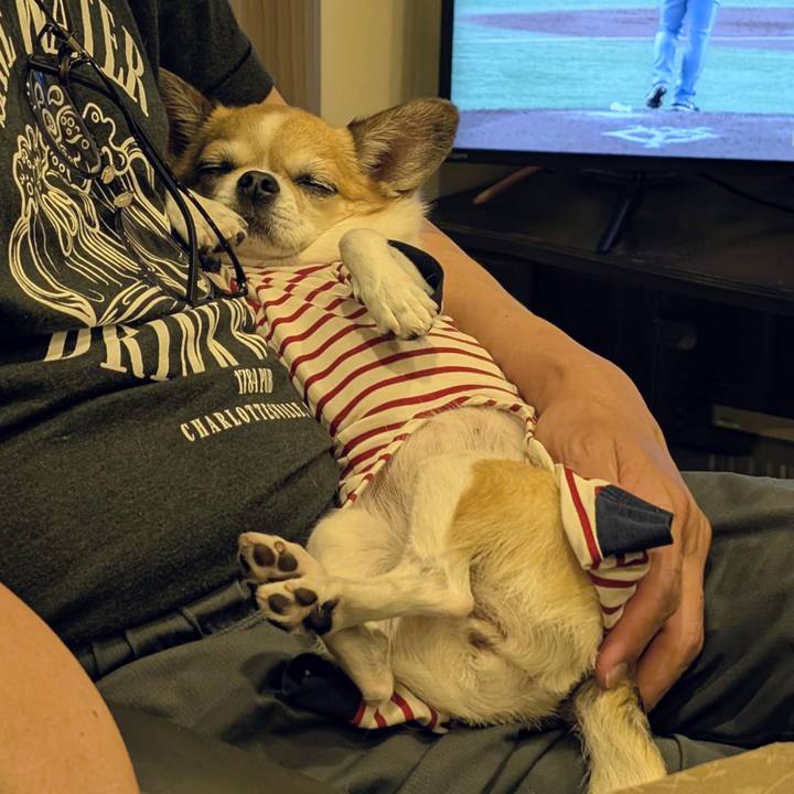 A701f172 2c12 41e2 9b7d 76120cbbd003 1755331589608