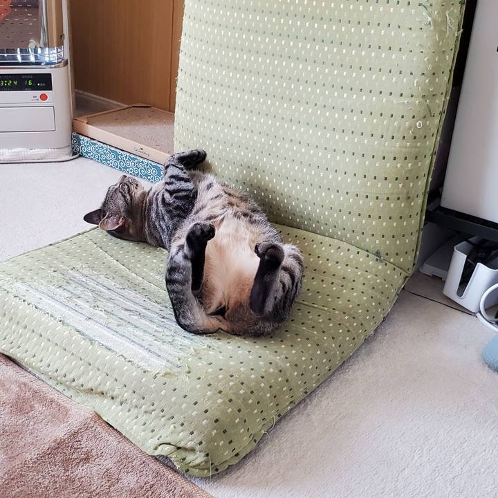 A7027f75 2519 4d34 ad5c 6db6a5ecac95 1713232245076