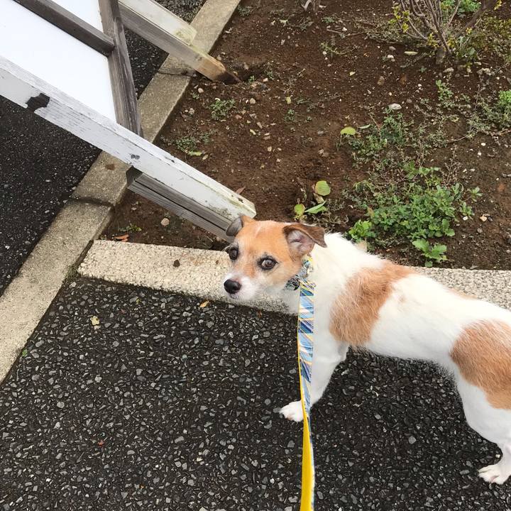 A702a0f1 748e 42d7 851c c60c83d72e77 1567991450967