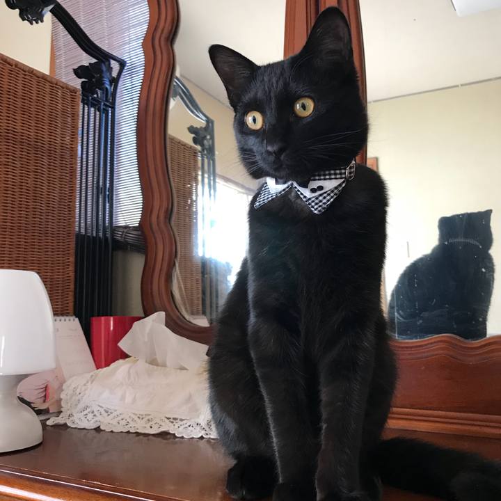 A702b83a 4b30 498a 80d6 844703149503 1520820749383