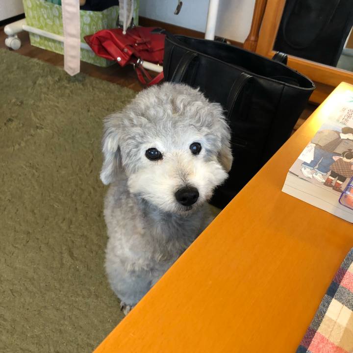 A702ef0e 194a 40bd b9de fc56a52eee0c 1525997853215