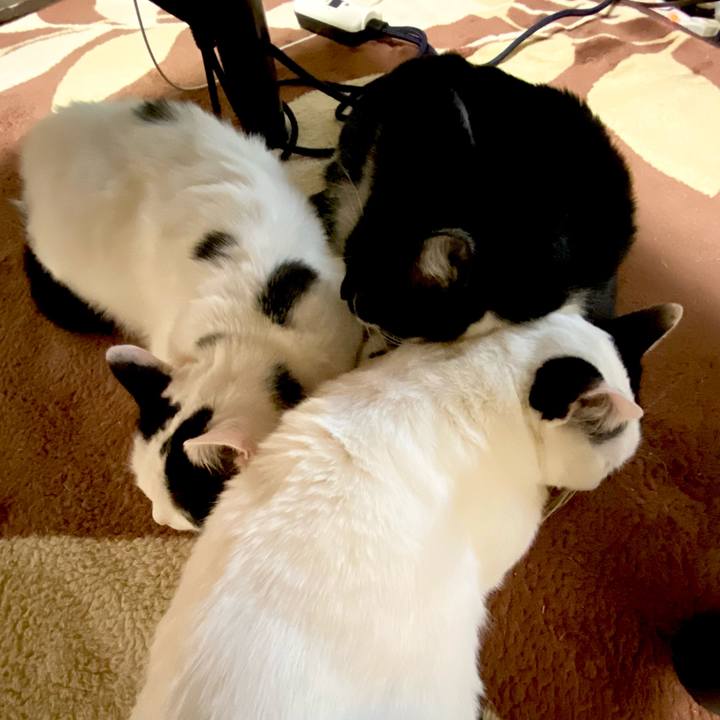 A702f2fe 8922 4fdc b95c 2ad33957434f 1610875773398