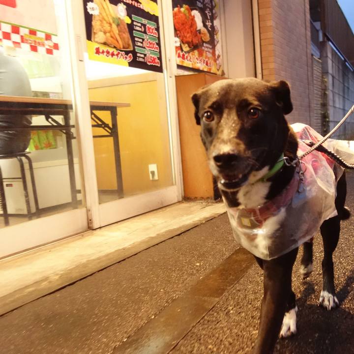 A70333f4 3aef 4990 9c4b 307ef6841eb3 1631614448247