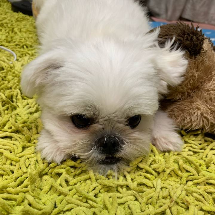 A70366b8 270b 49d3 82d9 cf052c09e3b7 1664098125738