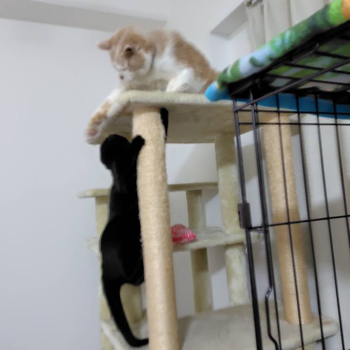 A703703d 5391 432e bf62 1e497395d6e3 1732532320563