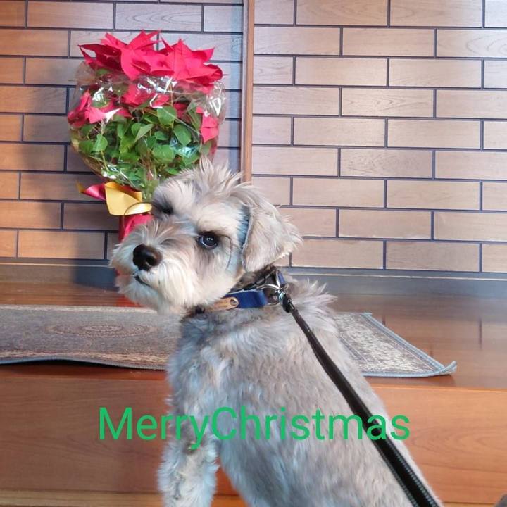 A7037b9f a1ed 43df b460 9cedf2e8091e 1766531007708