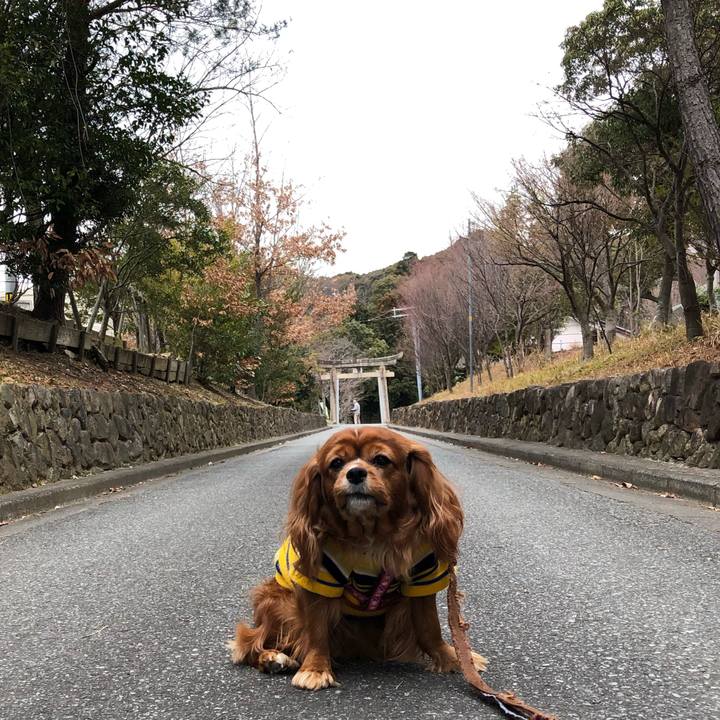 A703fb1a 8a9f 470e 8bc0 12e0fa4aa531 1642898114376