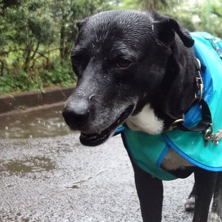 A70472ee ef68 4deb b39b e9e8135de700 1681517980012