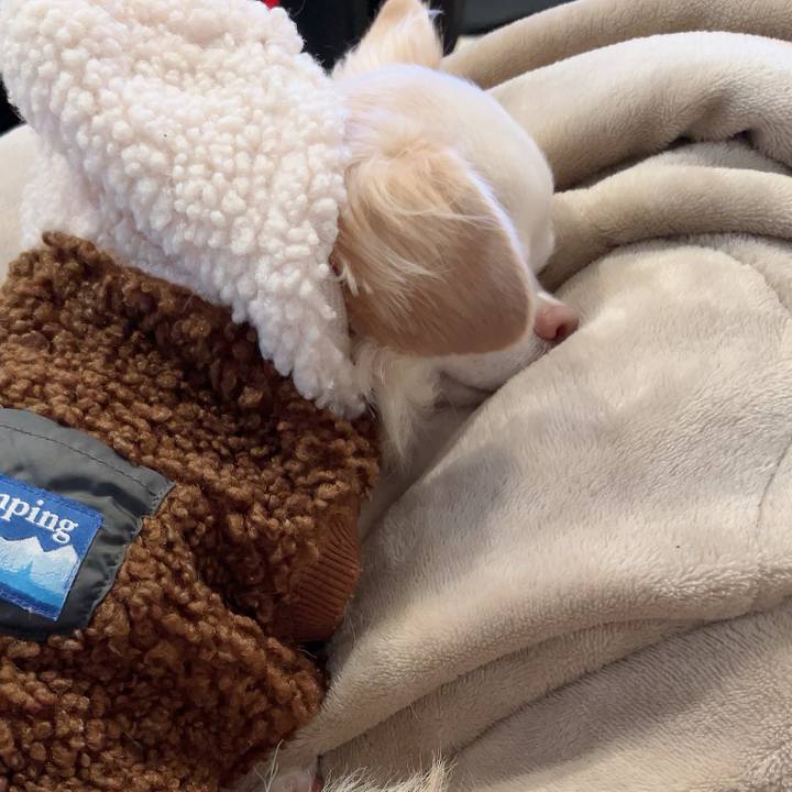 A704952e ae08 47b7 b36e bb2bb9ec58e3 1730530426195