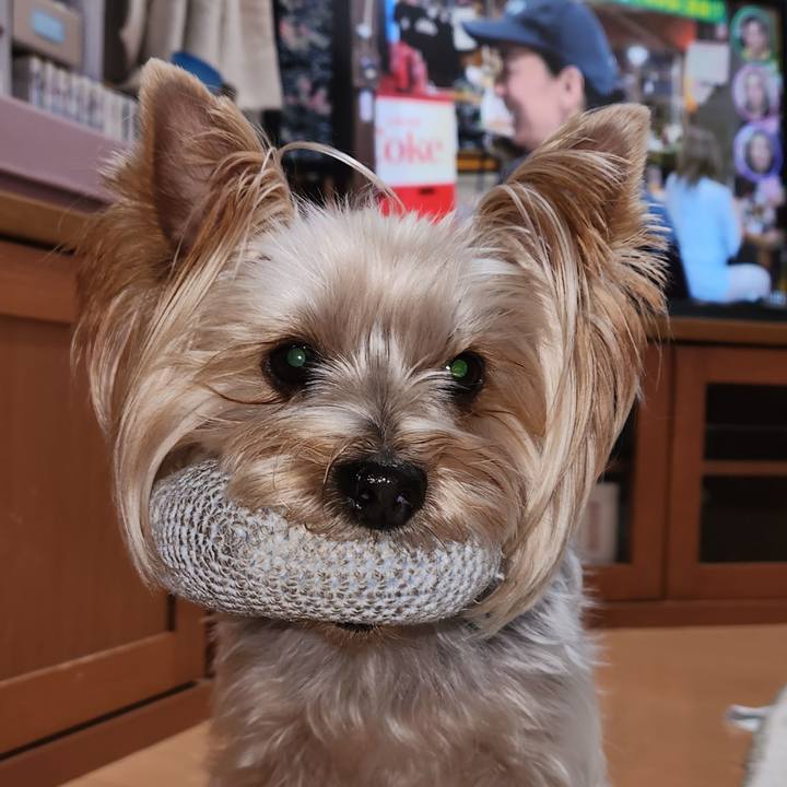 A704a22e 9add 44e6 9579 e045a2f665cb 1763266032590