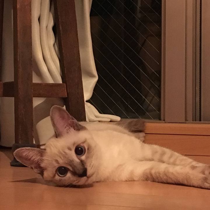 A704ae47 66ed 47c6 9061 029bfe2b9601 1537363139573