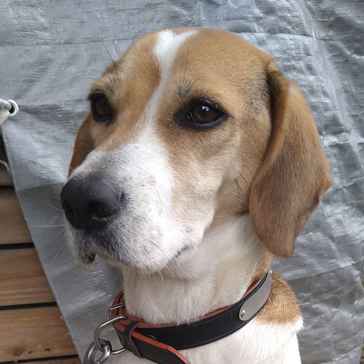 A7051f65 c459 4e8b 83fa 3e85364e8ca0 1645278456915