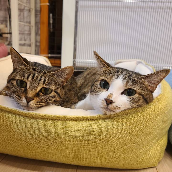 A7054226 d6da 4eeb 8c3d 39631ddf6ceb 1673012673348