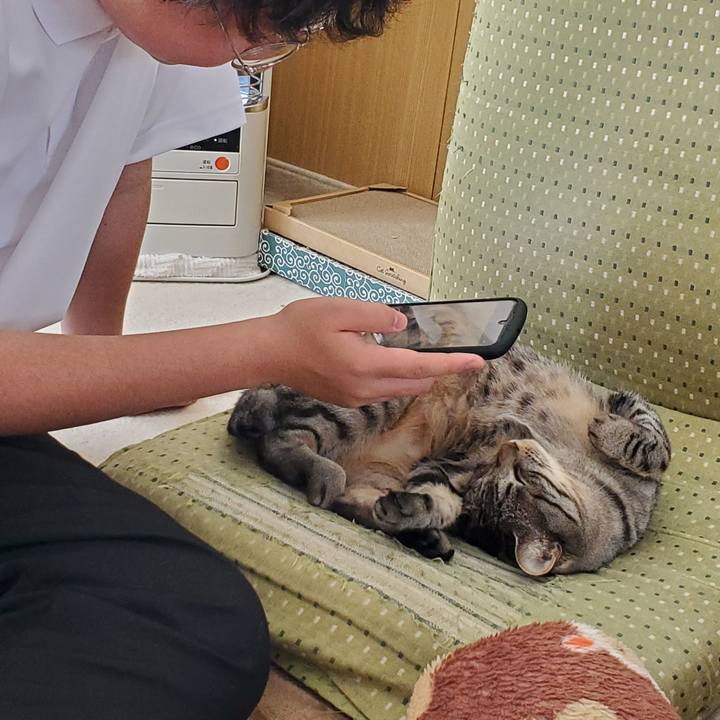 A70556d2 edd6 4a74 8d27 5685de7759eb 1711198763745