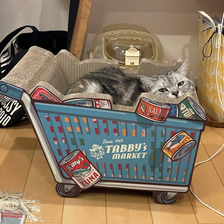 A705790c 59fd 4621 9c92 34fe20487a83 1651758729127