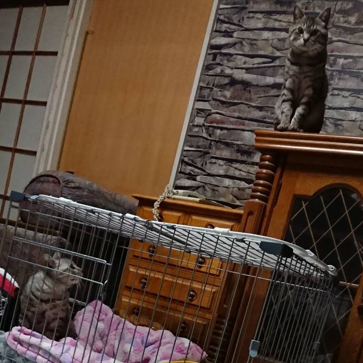 A705b1e2 f431 40aa b054 f8b3930bf8df 1561290697970