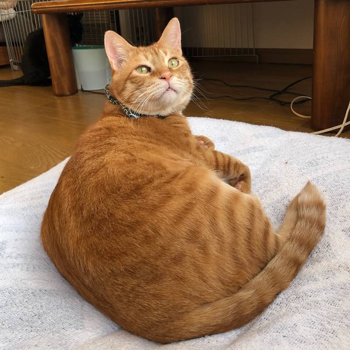 A705b86d e413 4ca4 a2b6 9ed514807f29 1556051994186