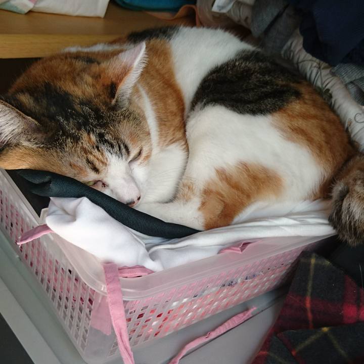 A705dde1 97a0 483c 81a3 ceabc9ba173d 1556424493882