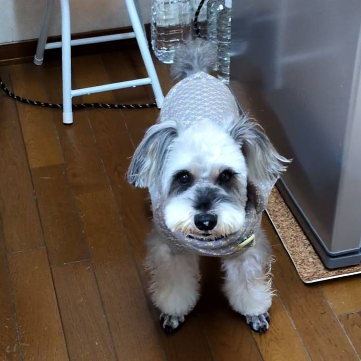 A705f03f f4bd 40cd a98b 525356352987 1762786206518