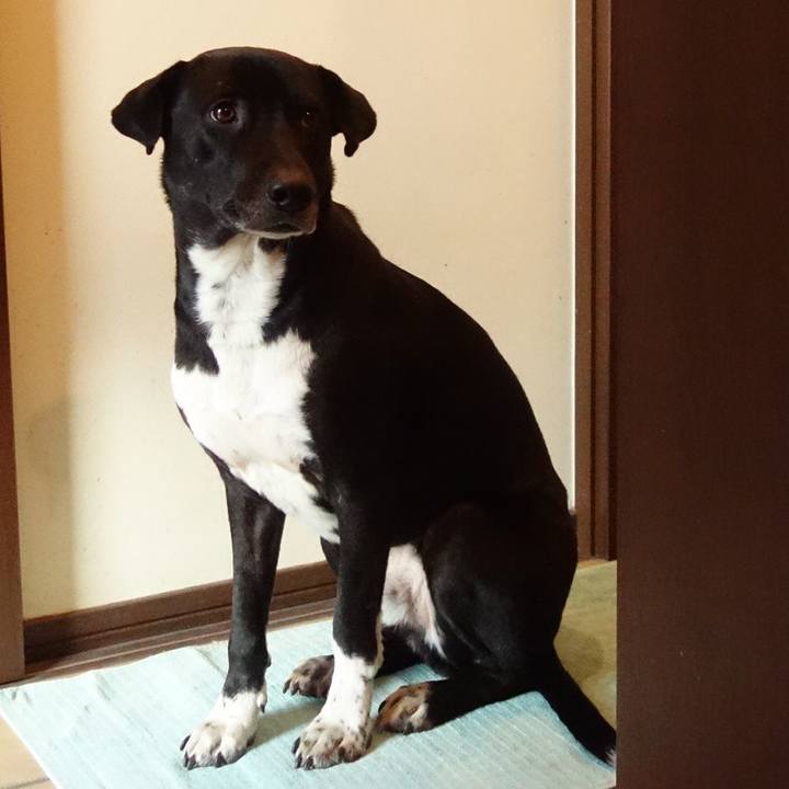 A705f361 93f8 4461 80c0 eeb4a84f126c 1610937441945