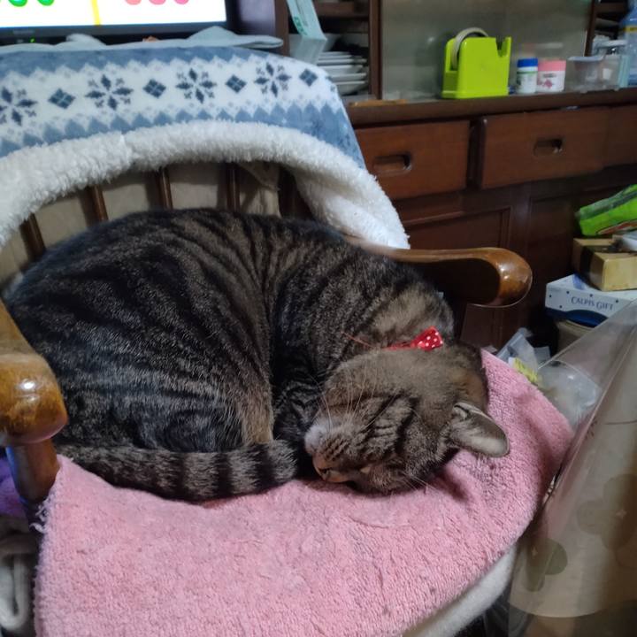 A70630ef 347d 4387 89b3 9fb76fe8f3e0 1675253750395