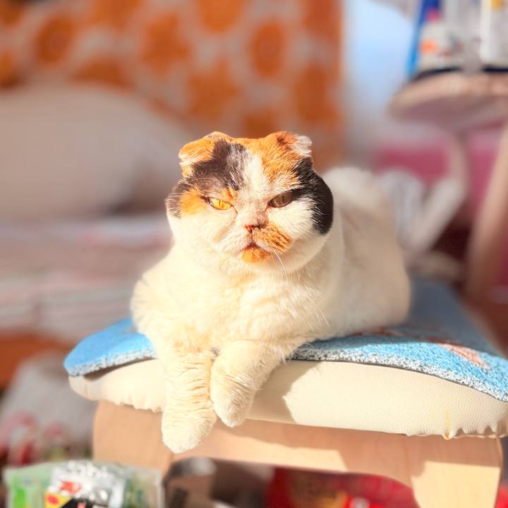 A7065b29 d1db 4f05 97e6 cc18415759b9 1762472601343