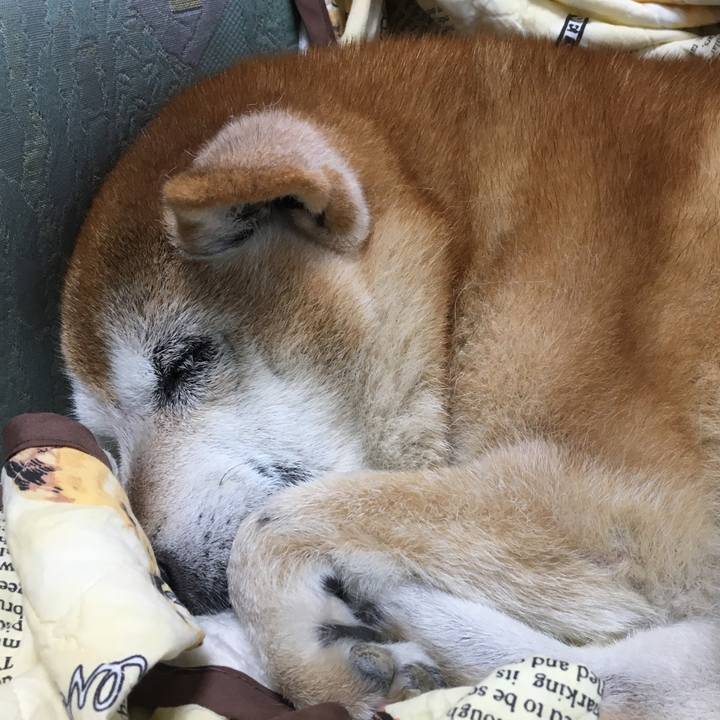 A7066f58 08b6 40b8 bc8a 1b10b65e79a8 1537218308563