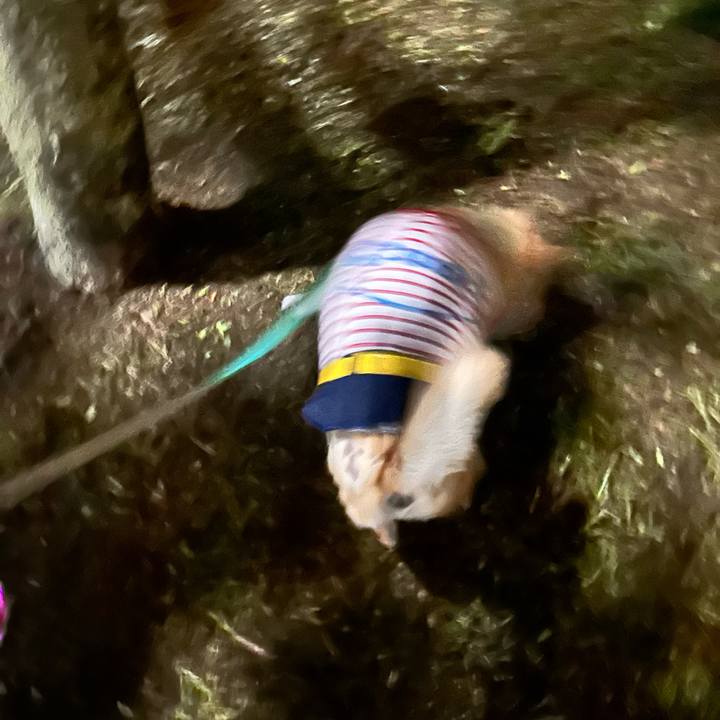 A706b49d 86c5 49f5 9a8b 8ced715180de 1761384183329