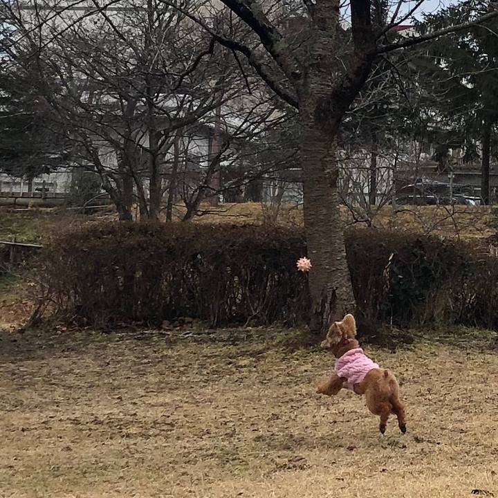 A706c3c9 1508 45bf bf00 e7d16eee1fa3 1579831651698