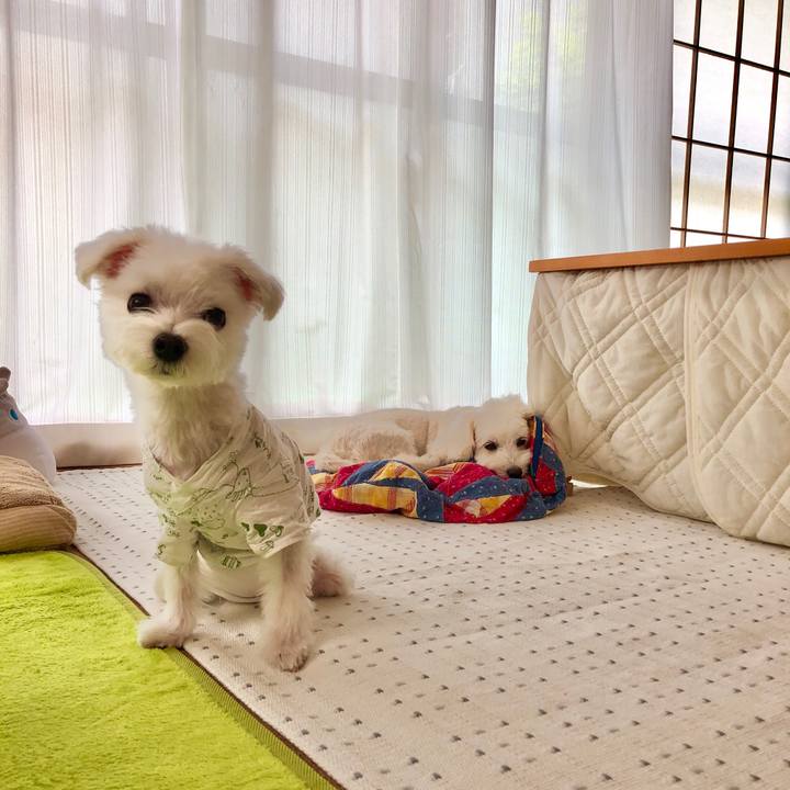 A706c58c 8e7e 41bd b254 121b2b578f2d 1597460331364