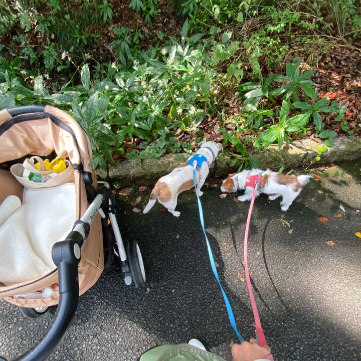 A706dcac abb3 477c 8eb3 0c9ced6301d3 1697336500692