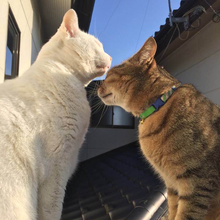 A706f05d 1b6a 443d bac9 0d63995ff9b2 1516494303356