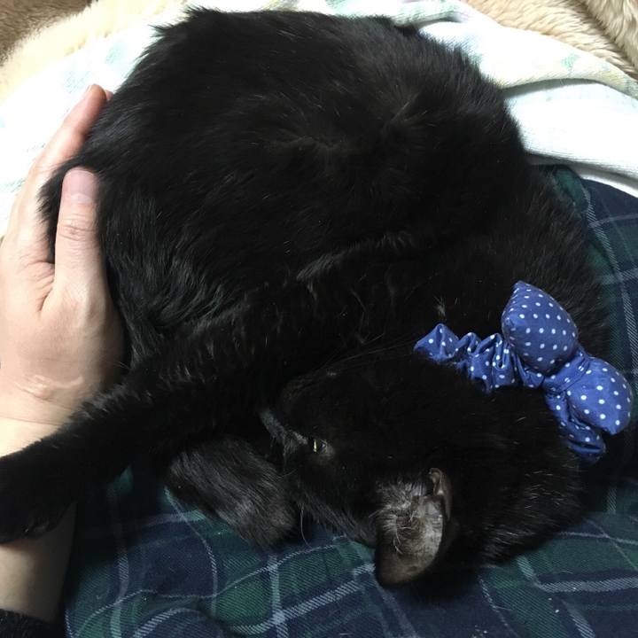 A7072e9d 9534 40cc 89c3 76d5e496b1c7 1551365705287