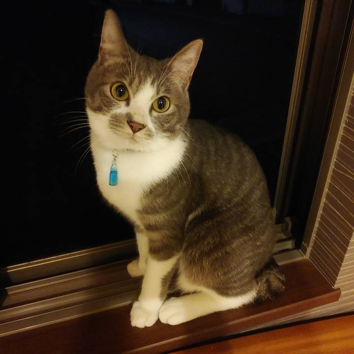 A7074e99 af80 44ad bcad cc23ffe267e2 1589121659262