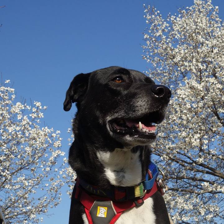 A7075b07 a28e 4292 8bd1 6237003ebca3 1678843251537