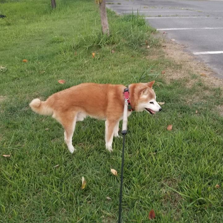 A7078a7b 8384 4e27 8ef4 3c56fa898d7c 1755943948580