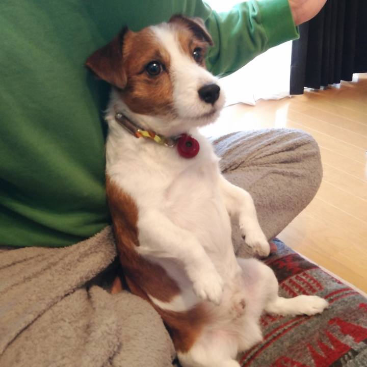 A7079a6f 7a00 4831 b6ec 5dc9d579061d 1542969543358