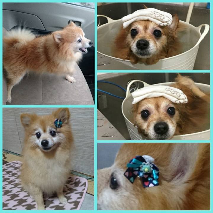 A707a4de d45b 4068 92af 604e69a37e44 1511047776208