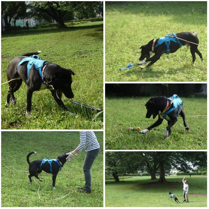 A707b808 218f 46b1 bd44 97d0d05081c8 1622677938513