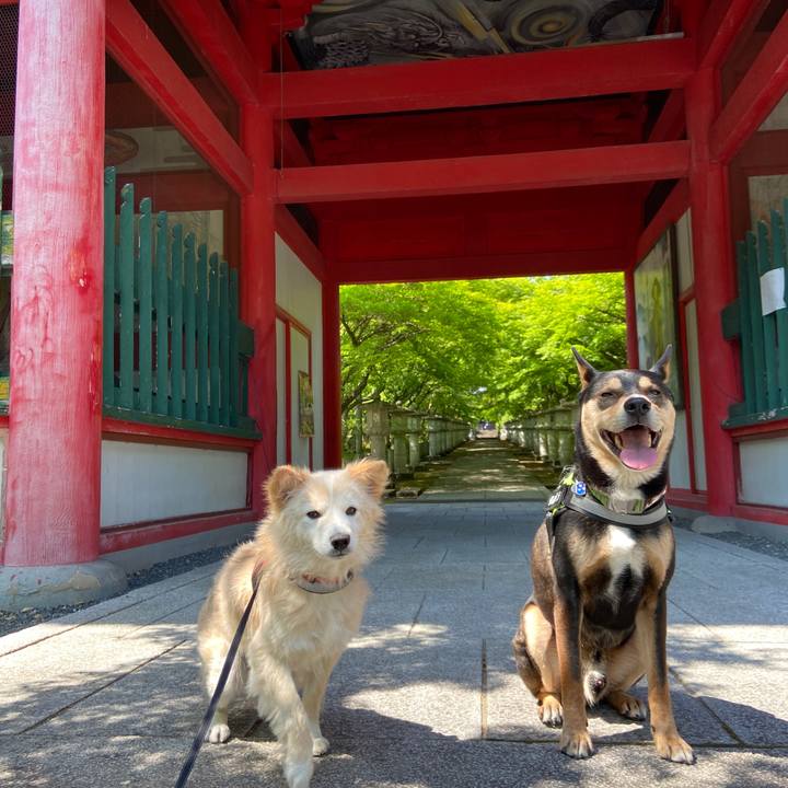 A707cc1d f2ba 4ed8 b6ba e44ddd4f9c7d 1651565276219