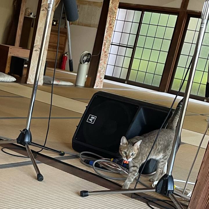 A7080b40 2dd1 49da afe8 5a8570b2a00b 1728859509459