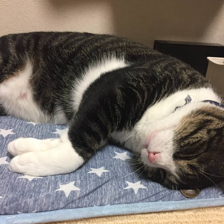 A7085b44 b847 4aaa 8b5b 456fab9284fa 1531054538465