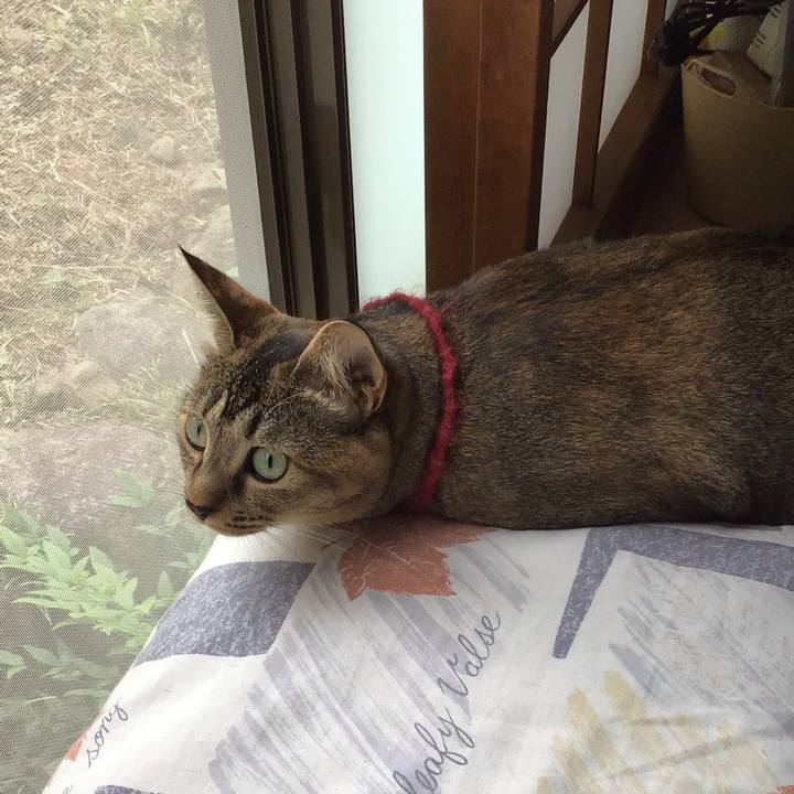 A7088465 b49e 475a 986d 90eaf238efa4 1601785335569