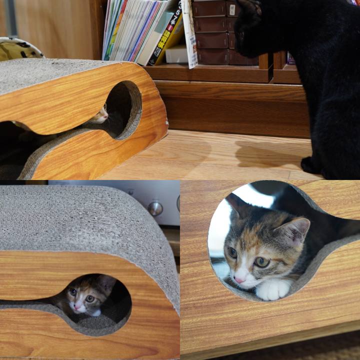 A7089263 7e31 4fb8 bab8 f74a8aa4b1b5 1570288057014