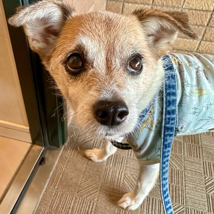 A70892e5 81c4 441e a3d5 2dd82d2a2a38 1684364706434