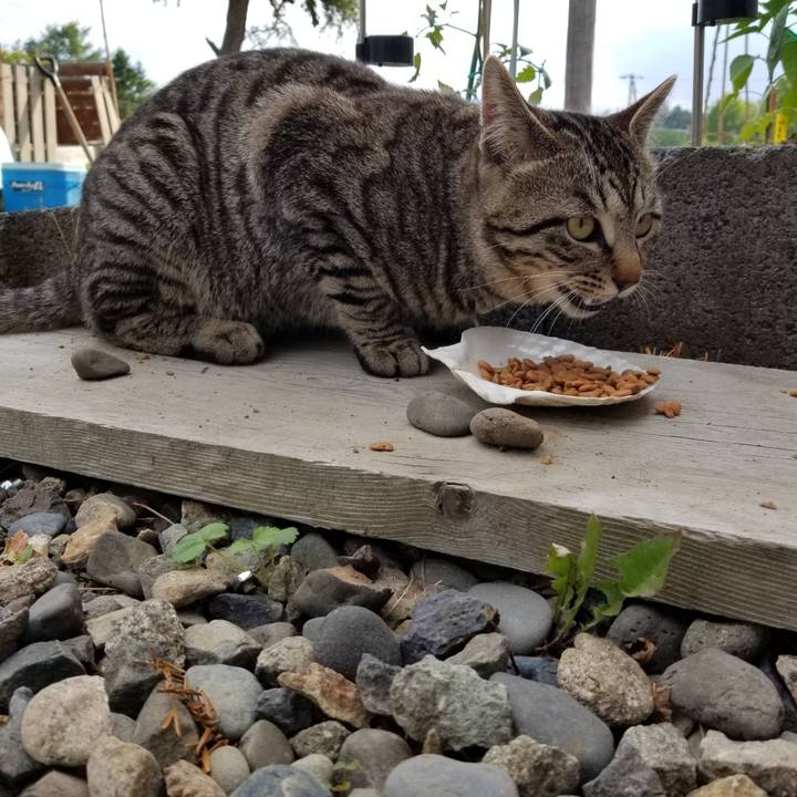 A708b607 c2c5 4410 951a 1971bd17269b 1591171524663