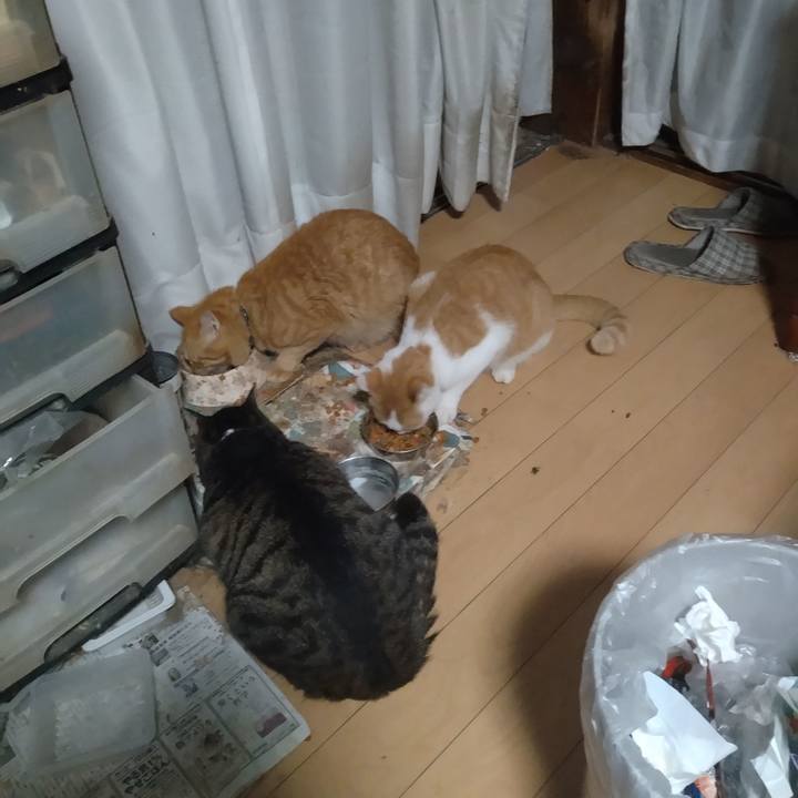 A708dd22 73b1 4a35 8c73 adbce501e4d2 1758577260299