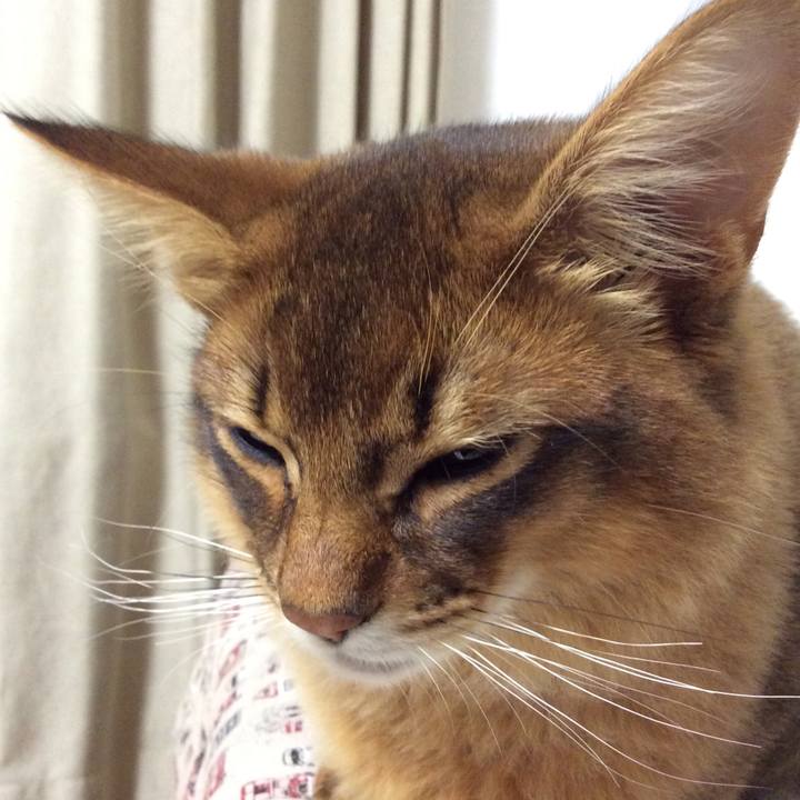 A7092737 520e 44a4 8eb9 7e453f8f478a 1581111207769